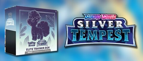 Silberne Sturmwinde Top Trainer Box